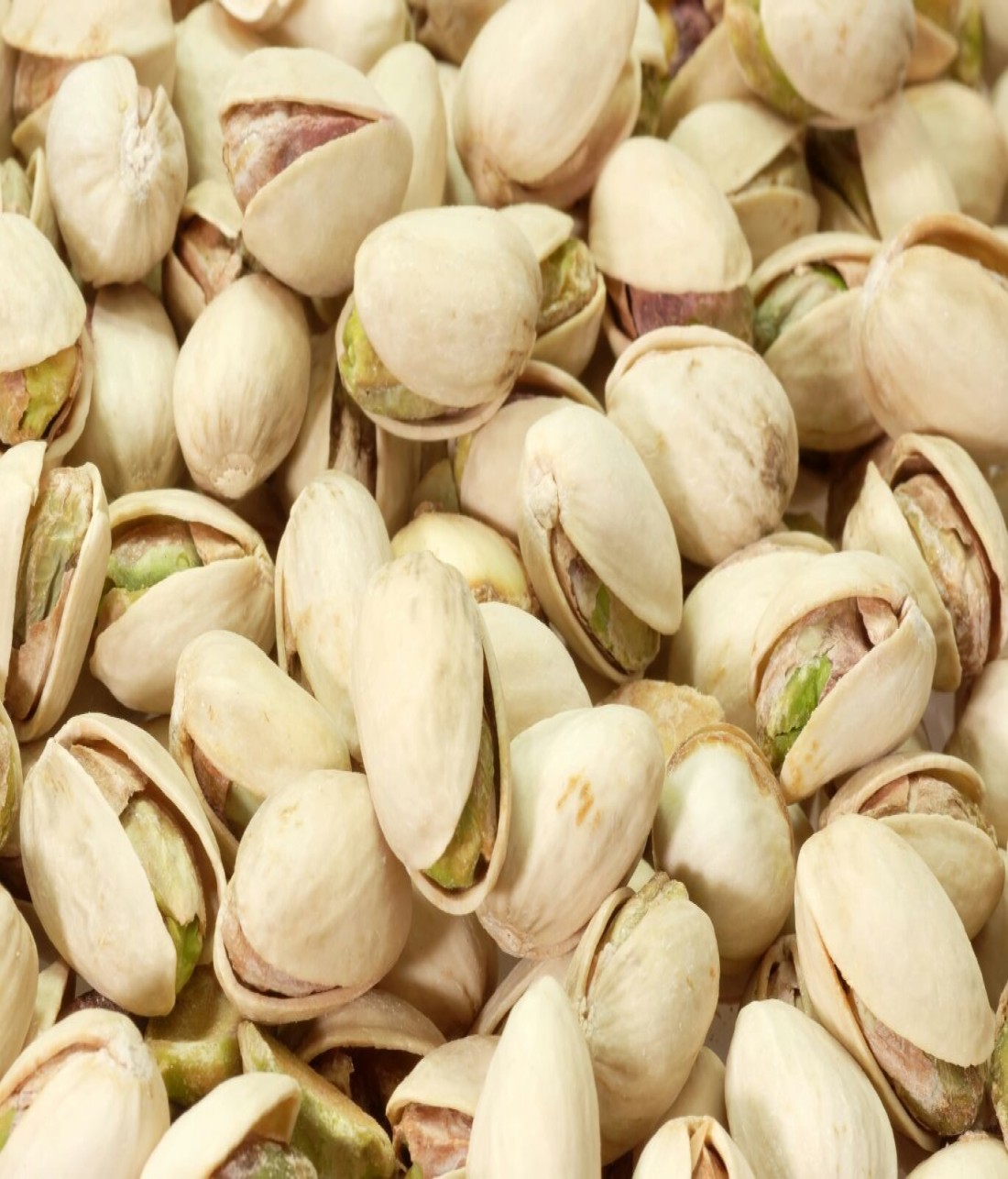 SALTED PISTA