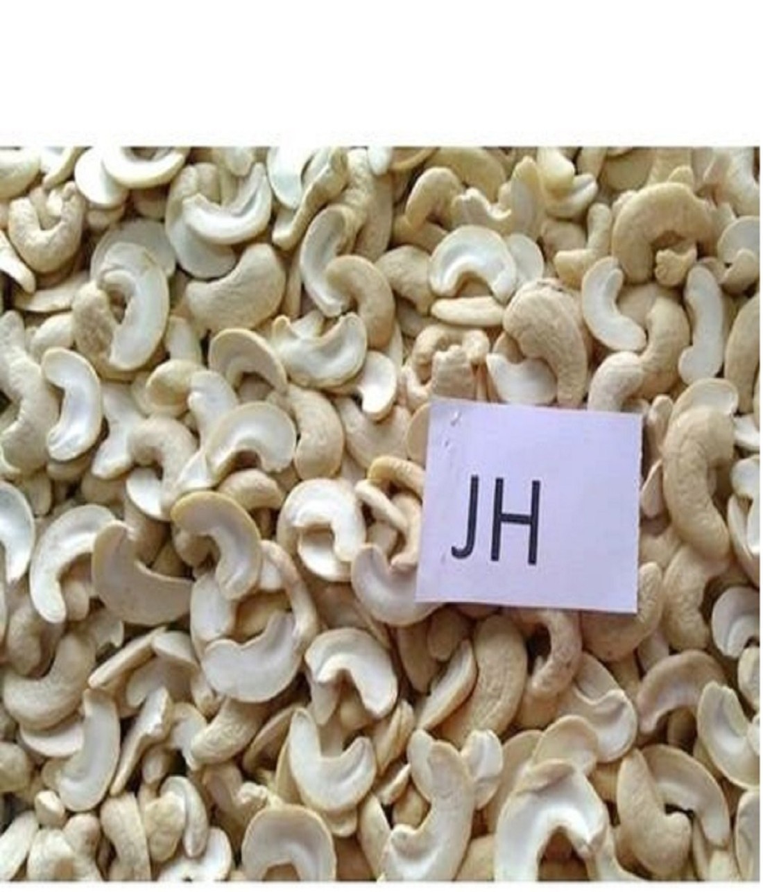 CASHEW JH