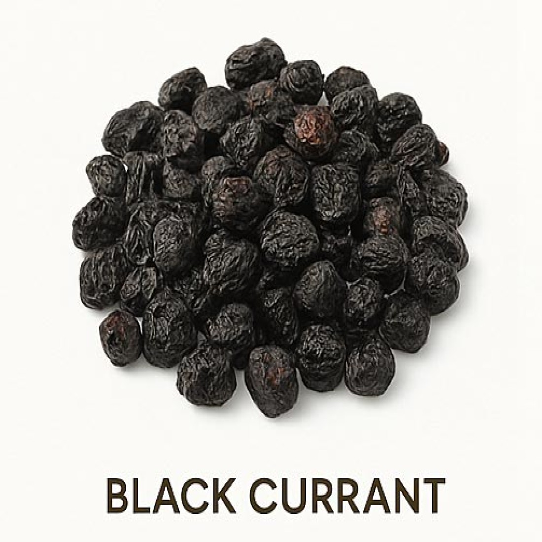 BLACK CURRANT