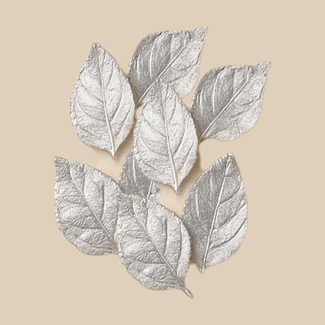 SILVER LEAVES